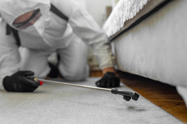 Professional Bed Bug Control technician working in Wabash County County, IN